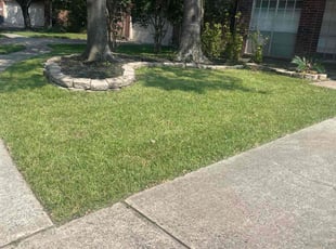 Lauren N.'s Lawn Mowing service result