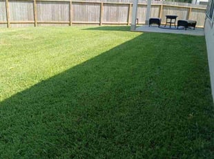 Ryan C.'s Grass Cutting service result