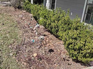 Weeding by Gregory Lewis for Grace H. in Baton Rouge, LA