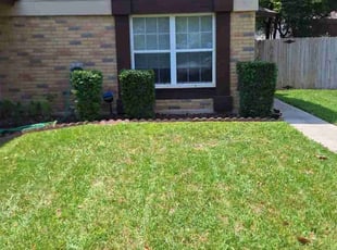 Bush Trimming by Derek Schoenfeld for Juan P. in San Antonio, TX