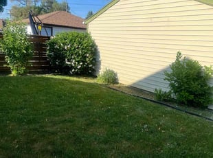 Cleanups by Michael Williams for Rosemary L. in Milwaukee, WI