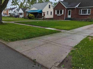 Bo B.'s Lawn Service service result