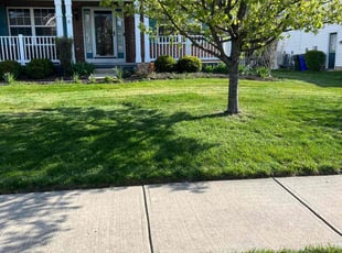 Cheryl p.'s Lawn Care service result