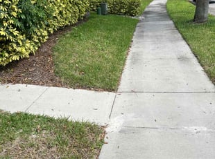 Earl S.'s Lawn Mowing service result