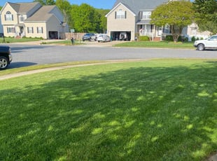 James O.'s Lawn Mowing Service service result