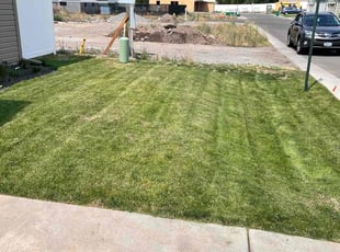 Vivienne G.'s Lawn Care service result