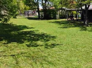 Clifton W.'s Grass Cutting service result