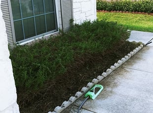 Bush Trimming by Derek Schoenfeld for Shawanna L. in San Antonio, TX