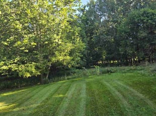 James W.'s Lawn Mowing service result