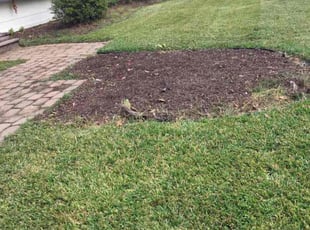 Weeding by Kristopher Anderson for Leah S. in Baton Rouge, LA