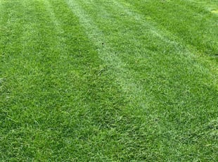 Jealious O.'s Lawn Service service result