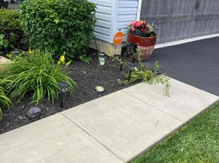 Bush Trimming by Jeremy Williams for Bill M. in Bel Air, MD