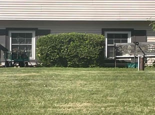 Bush Trimming by David Dangler for Anaka P. in Battle Creek, MI