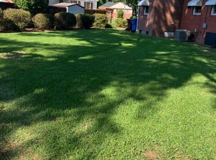 Kevin G.'s Yard Cutting service result