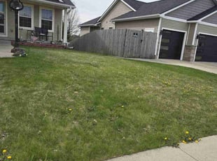 Paris N.'s Lawn Care service result