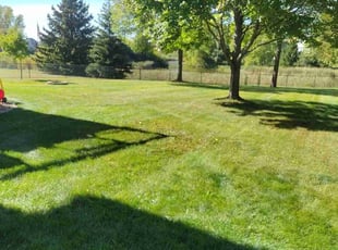 David B.'s Lawn Care service result