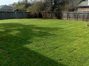 Hugo H.'s Grass Cutting service result