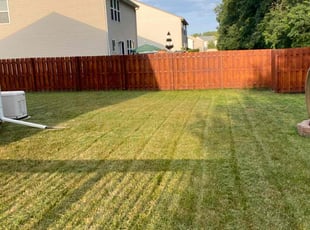 Tom W.'s Lawn Care service result
