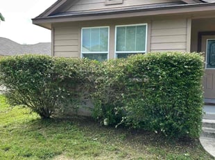 Bush Trimming by Marcus Ward for Lydia L. in New Braunfels, TX