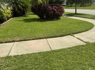 Andrea M.'s Lawn Service service result