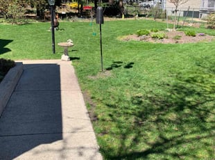 Kandius E.'s Lawn Service service result