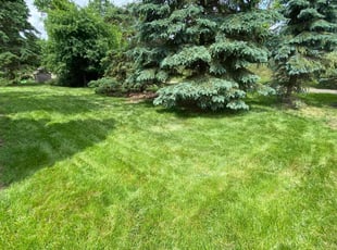 Carl C.'s Lawn Care service result