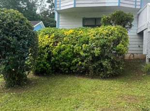 Bush Trimming by Anthony Stewart for Reginald C. in Lithonia, GA