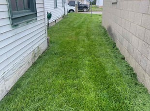 Dorothy R.'s Grass Cutting service result