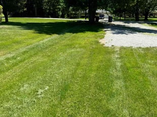 Charlene T.'s Grass Cutting service result