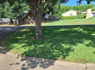 Hani R.'s Lawn Mowing service result