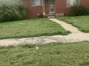 Ruby R.'s Lawn Care service result