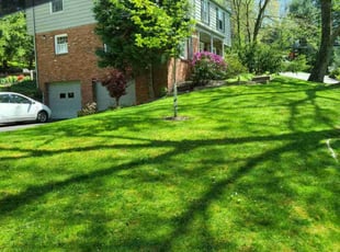Josh G.'s Lawn Care service result