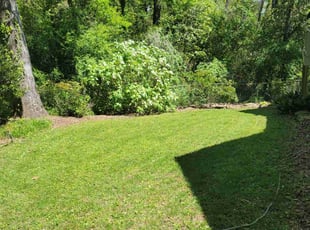 Melanie M.'s Grass Cutting service result