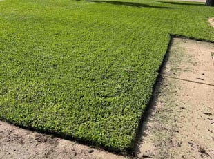 Robinson R.'s Lawn Mowing Service service result