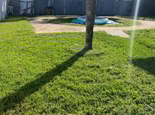 Sandra F.'s Yard Cutting service result