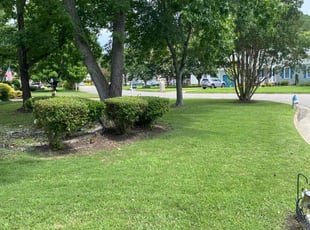 Erica J.'s Lawn Mowing service result