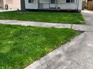 Kim T.'s Lawn Care service result