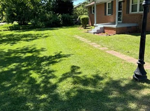 Thurman M.'s Lawn Mowing service result