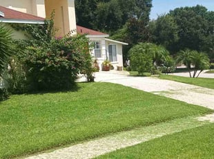 Shanai R.'s Lawn Mowing service result