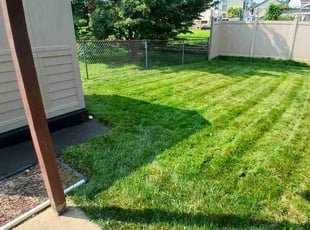 Chris M.'s Lawn Service service result