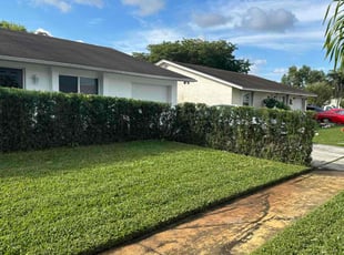 Bush Trimming by Eric Mayorga for Ivett D. in Lake Worth, FL