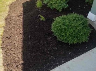 Mulching by Rosa Reyes for Sophie B. in Maxwell, TX