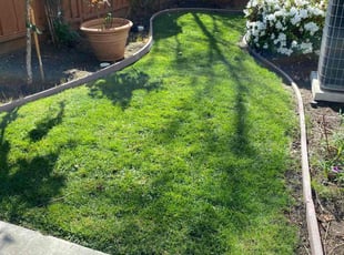 Kerianne L.'s Lawn Mowing service result