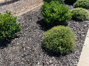 Weeding by Lance Holtman for Emily N. in Oklahoma City, OK
