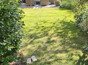Claude M.'s Lawn Maintenance service result