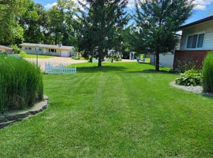 Dwaneise S.'s Lawn Mowing service result
