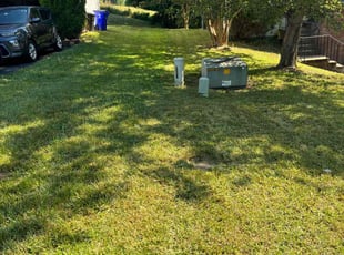 LaTasha C.'s Lawn Mowing Service service result