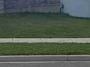 Suresh K.'s Lawn Service service result