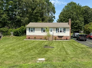 Tammie D.'s Yard Cutting service result