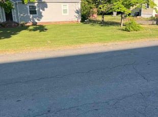 dan a.'s Lawn Care service result